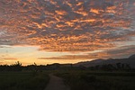 sunrise, ricefields, sumbawa
