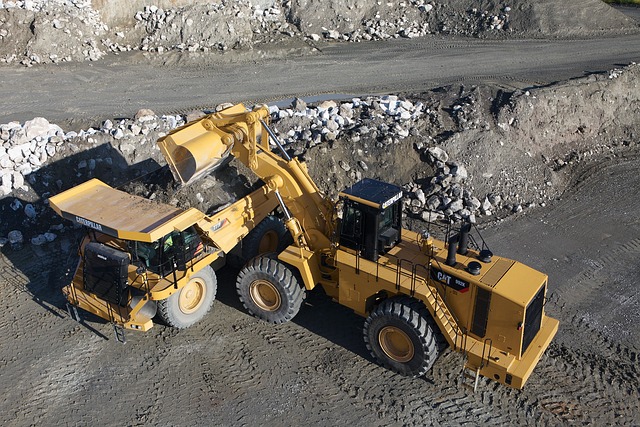 Free Wheel Loader Cat photo and picture