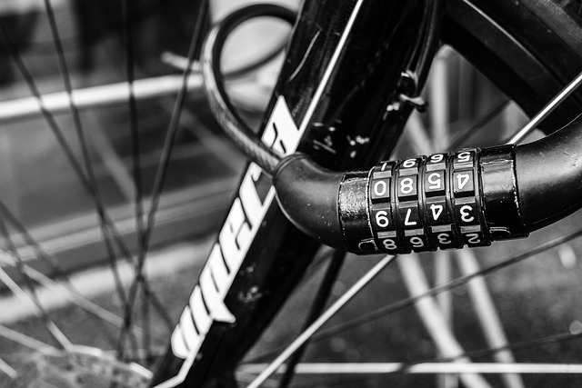 Free Bike Bicycle photo and picture