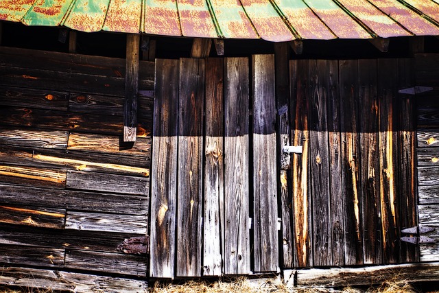 Free Color Old photo and picture