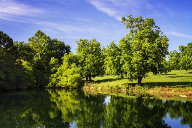 Free Color Pond photo and picture