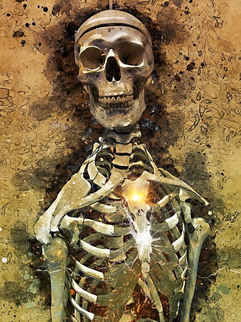 Free skull bones skeleton illustration