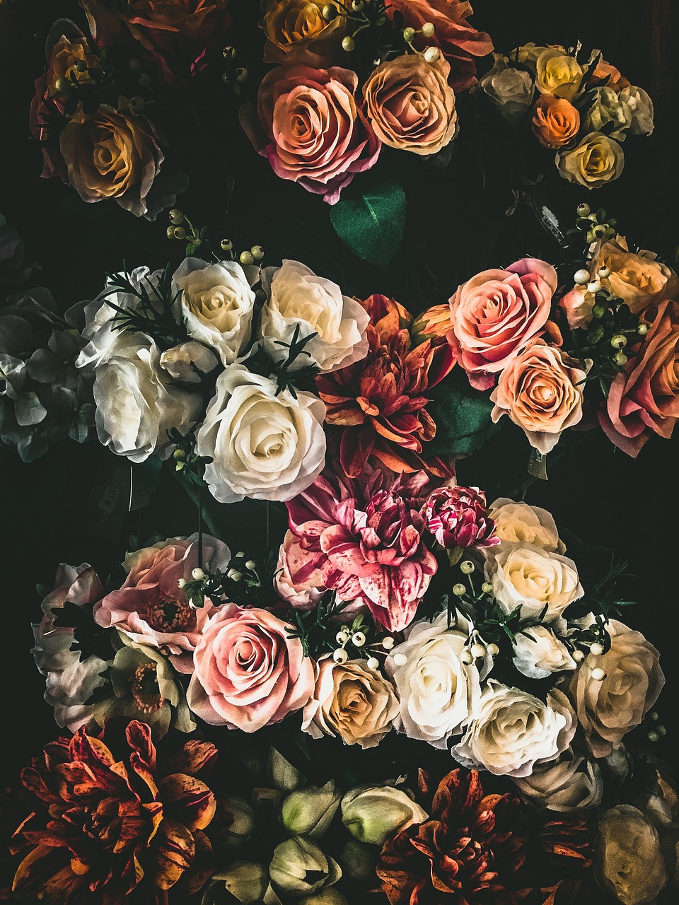 Warna-Warni Bunga Alam - Foto gratis di Pixabay - Pixabay