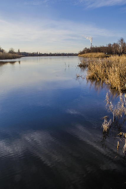 Free River Flow photo and picture