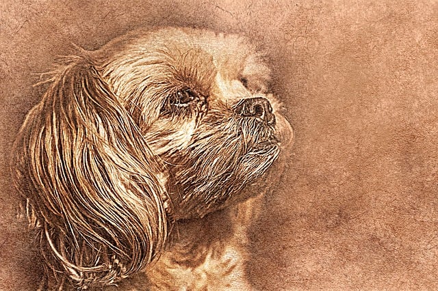 Free dog pet art illustration