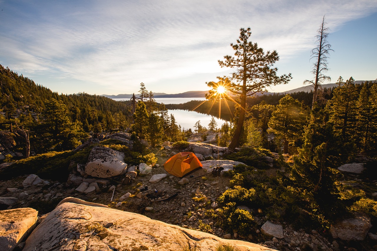 Nature - free online jigsaw puzzle photo