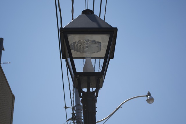 Free Street Light photo and picture