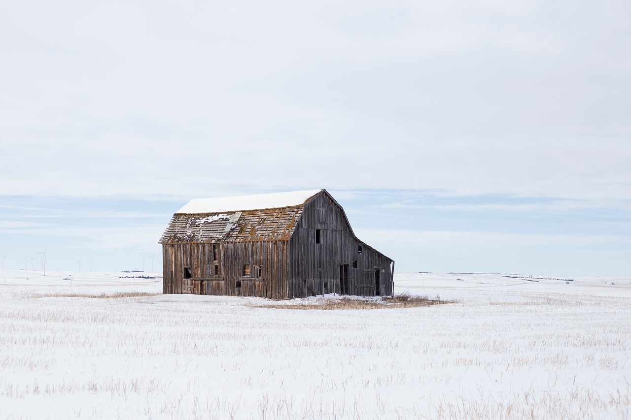 House - free online jigsaw puzzle photo