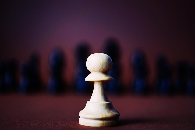 Free Piece Chess photo and picture