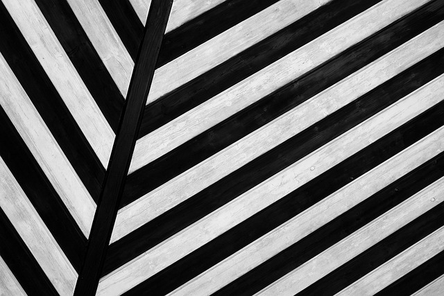 40,000+ Free Line Design & Line Photos - Pixabay