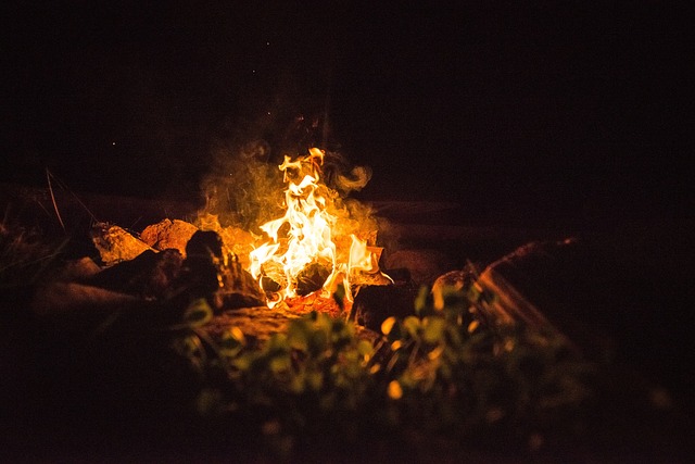 Free Fire Dark photo and picture