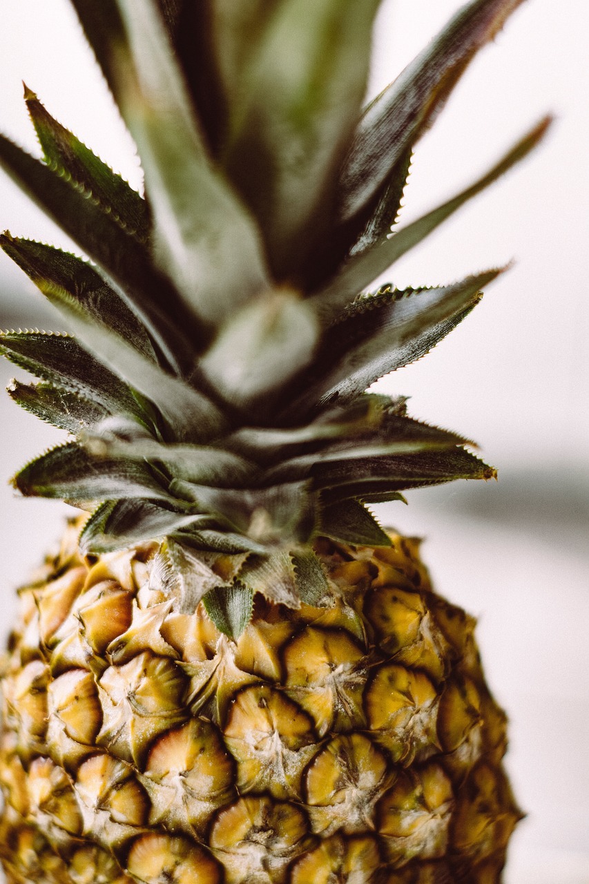 Pineapple Dessert Appetizer - Free photo on Pixabay