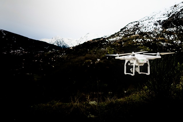 Free Drone Camera photo and picture