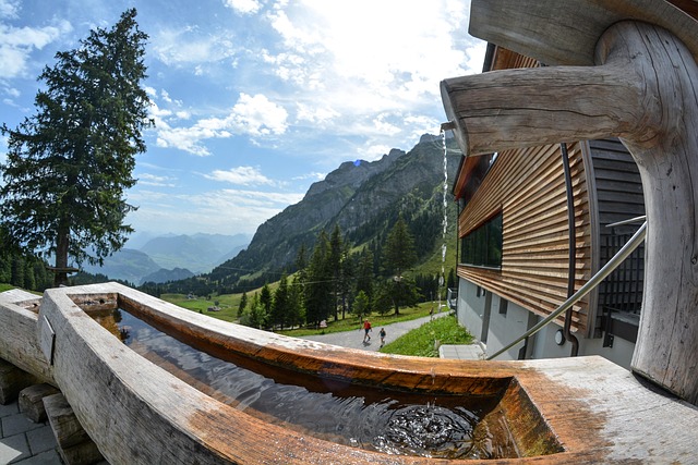 Free Alps Switzerland photo and picture