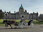 transport, coach, horse and carriage