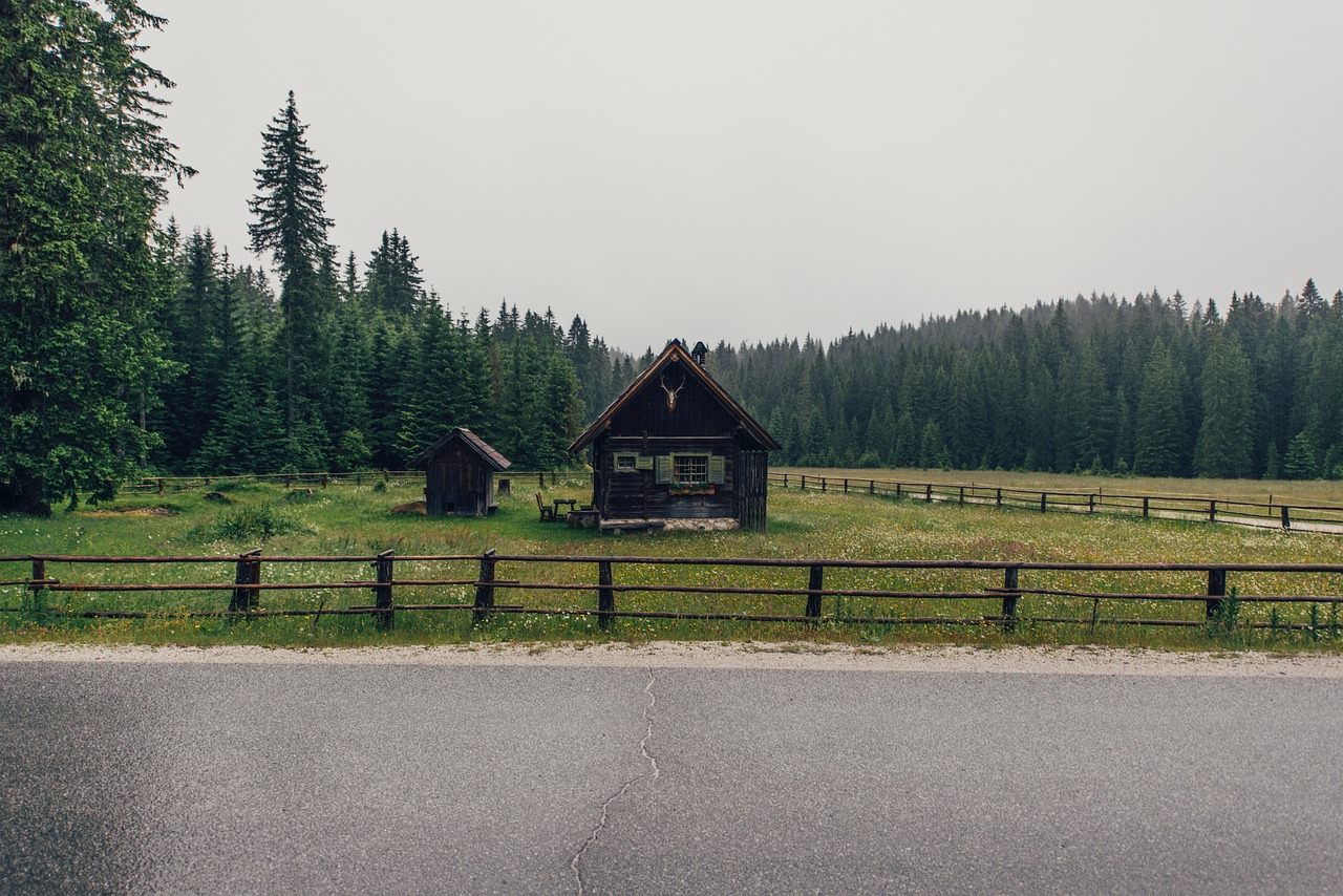 Nature - free online jigsaw puzzle photo