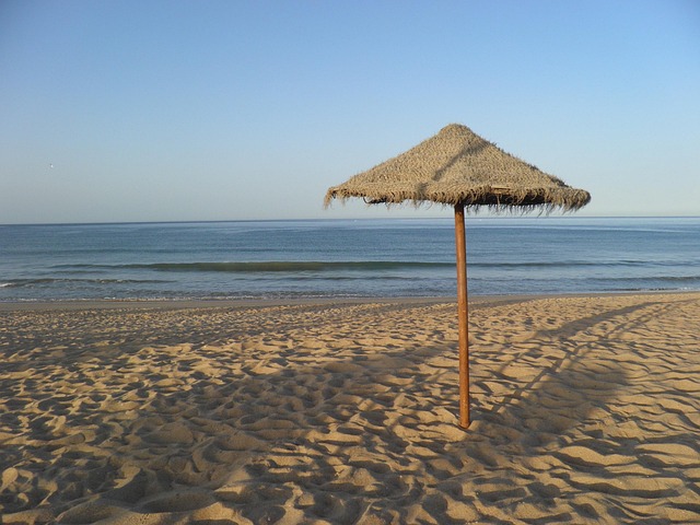 Free Beach Umbrella photo and picture