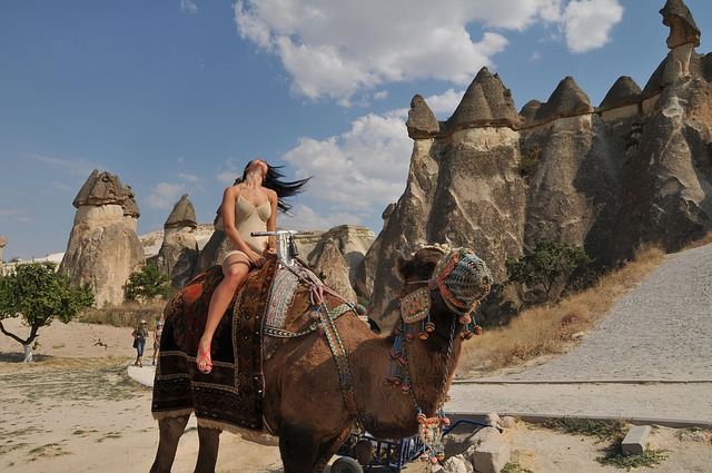 Camel, Kappadokien, Tourist, Feenkamine