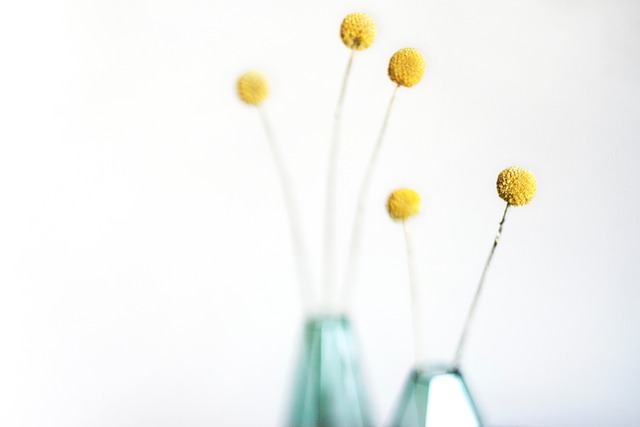 Free Flower Flower Background photo and picture