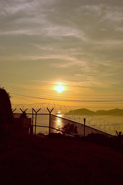Free Sunset In The Evening photo and picture
