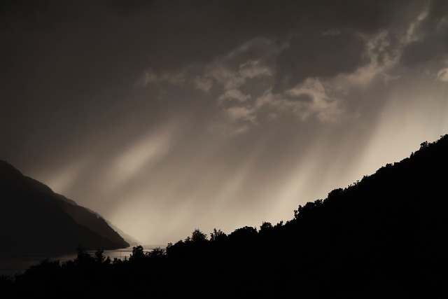 Free Ray Nature photo and picture