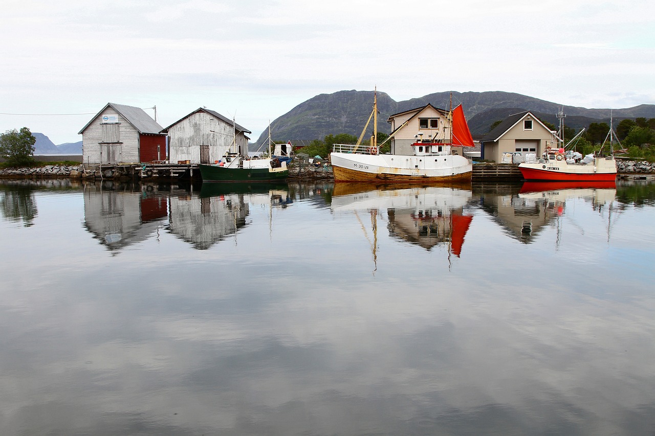Reflection - free online jigsaw puzzle photo