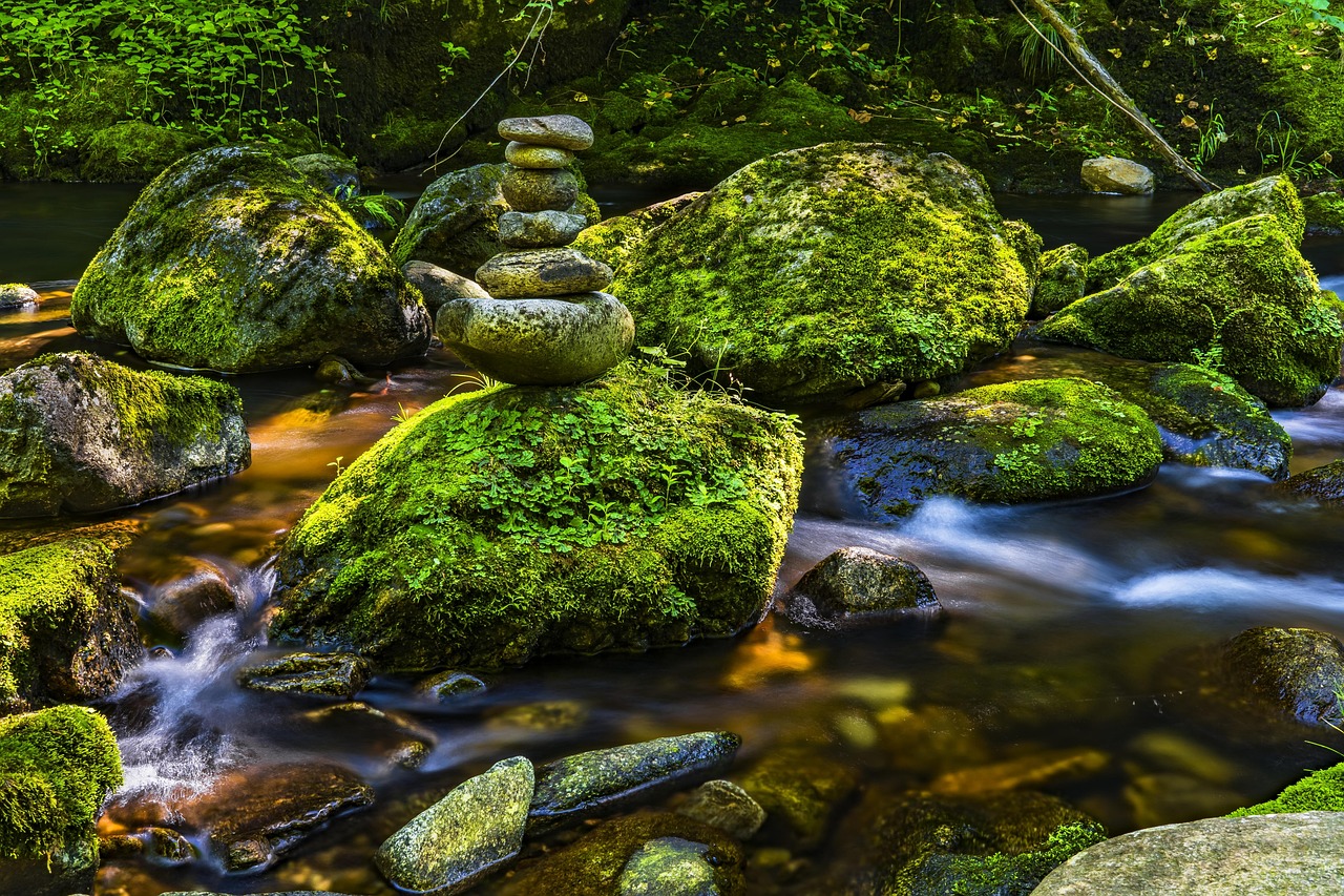 Water Flow Nature - Free photo on Pixabay