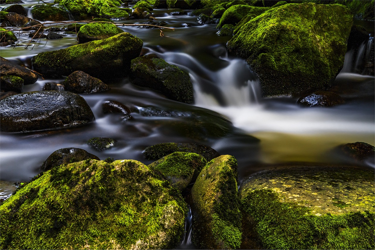 Water Flow Nature - Free photo on Pixabay