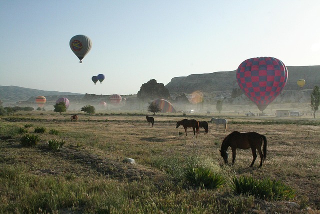 Ballon, Luftballons, Ballonfahren