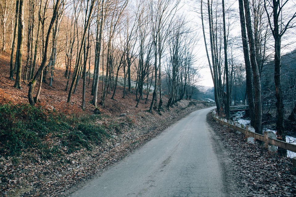 길 도로 나무 - Pixabay의 무료 사진 - Pixabay