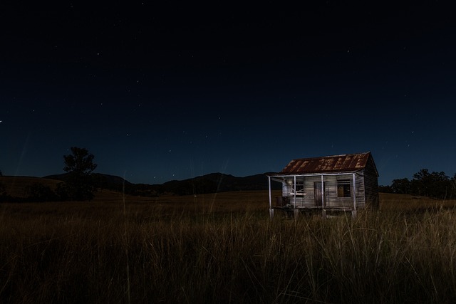 Free Dark Night photo and picture