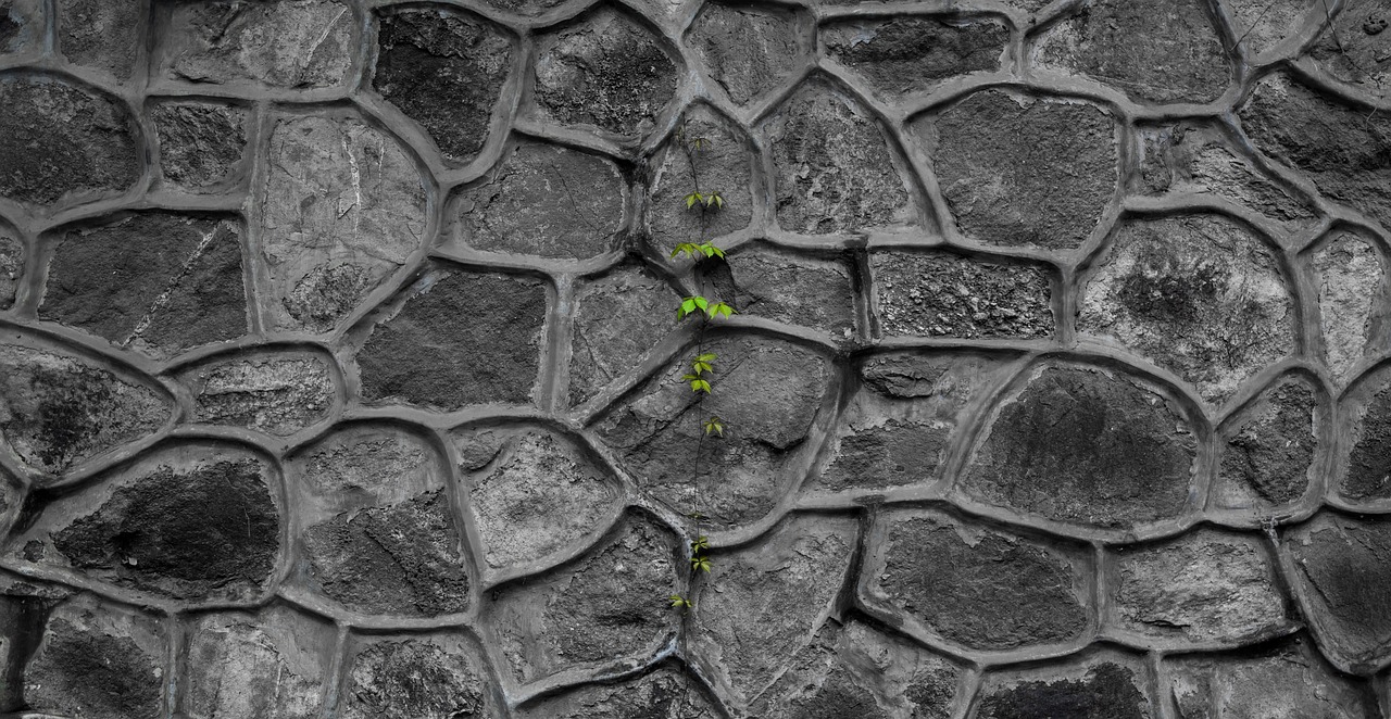 Wall - free online jigsaw puzzle photo