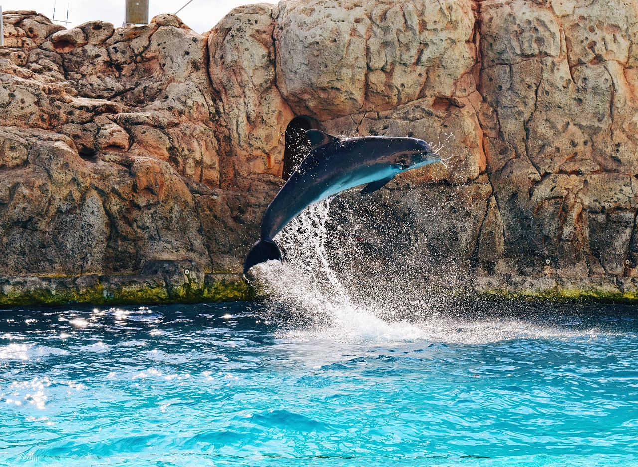 Sea - free online jigsaw puzzle photo