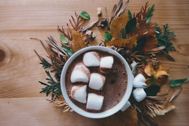 Hot Chocolate Drink - Free photo on Pixabay