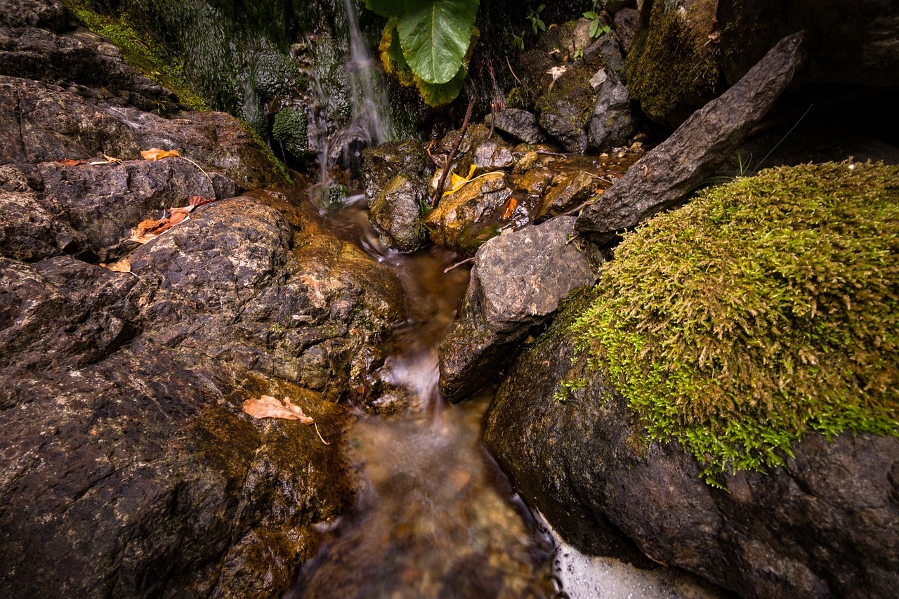 Water Stream Gallery Free Images : tree, nature, forest, waterfall ...