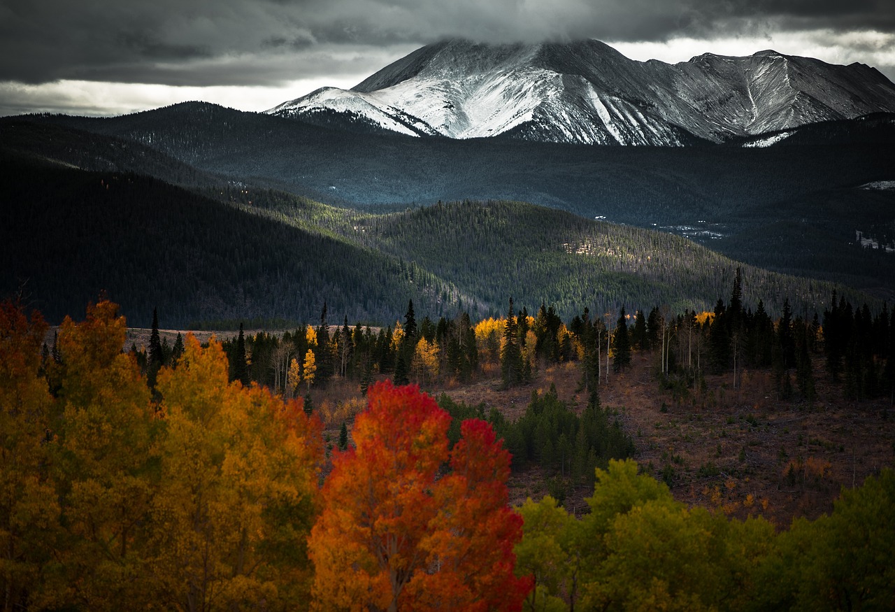 Dark - free online jigsaw puzzle photo