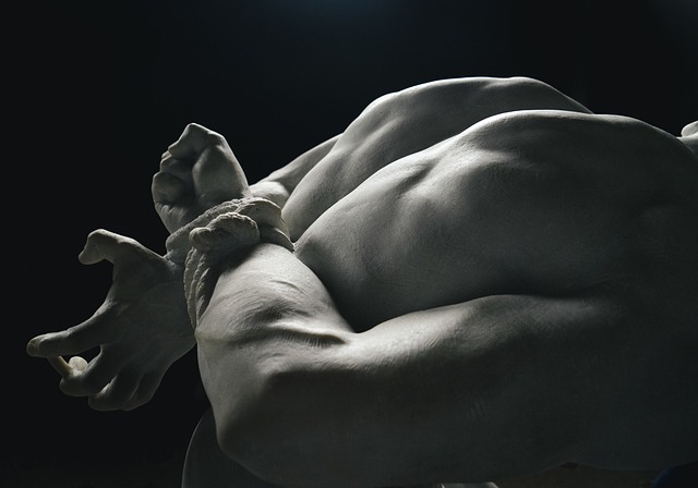 Free Body Muscle photo and picture