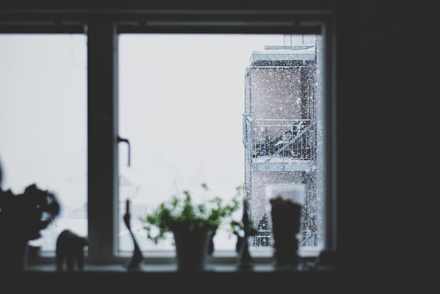 Free Black And White Window photo and picture