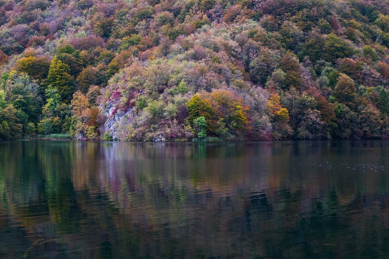 Lake - free online jigsaw puzzle photo