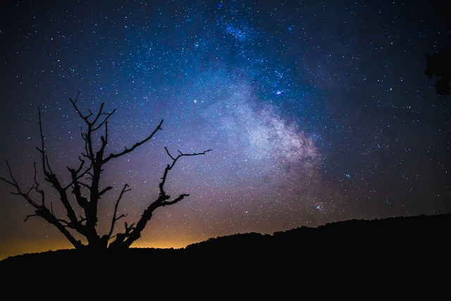 Free Dark Night photo and picture