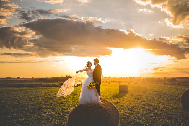 Nuptial Example 100+ Free Nuptial & Wedding Images - Pixabay
