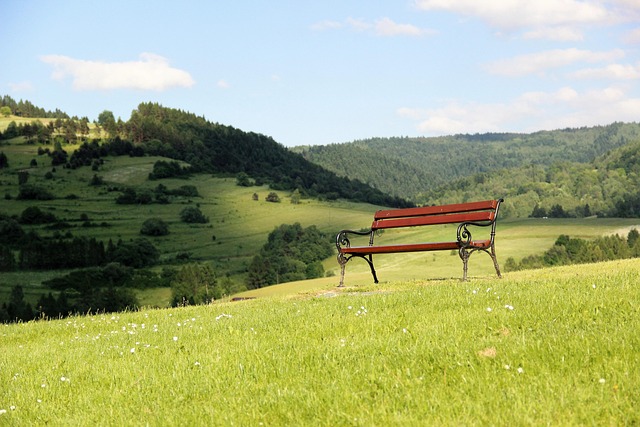 Banco, Parque, Faixa, Relaxamento