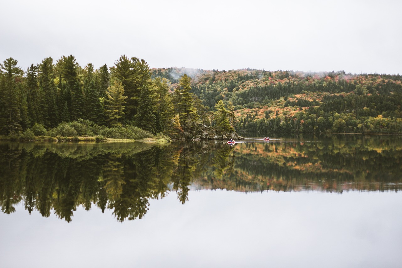 Green - free online jigsaw puzzle photo
