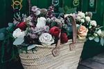 colorful, roses, flowers