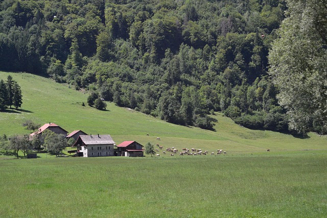 Free France Field photo and picture