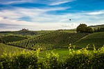 nature, landscape, plains