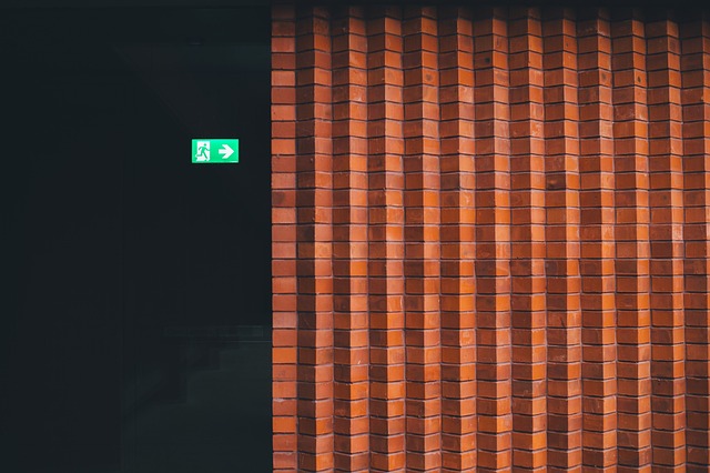 Free Wall Bricks photo and picture