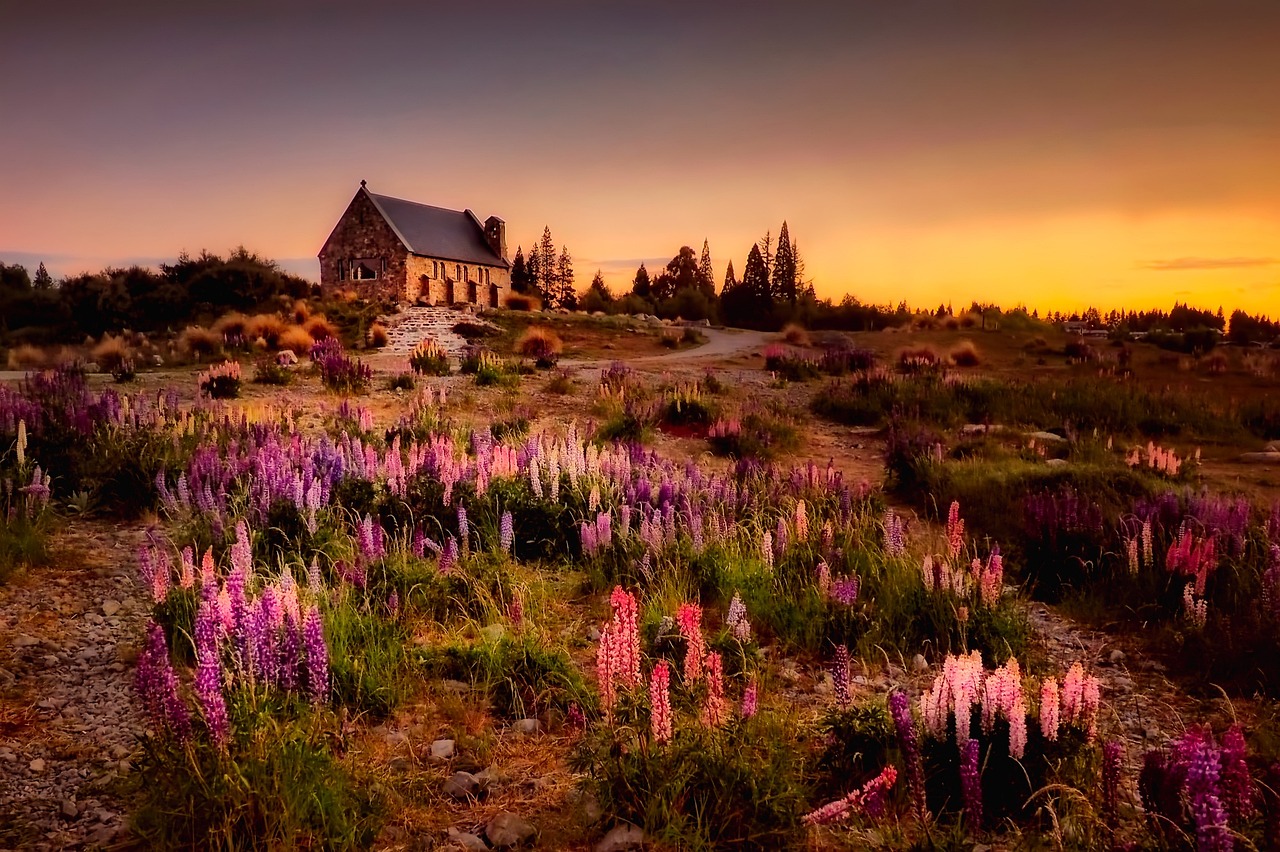 New Zealand - free online jigsaw puzzle photo