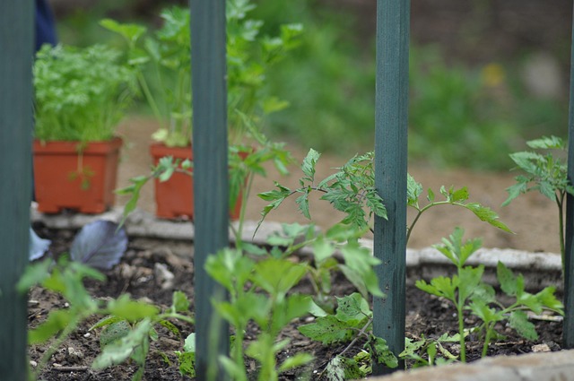 Free Gardening Nature photo and picture