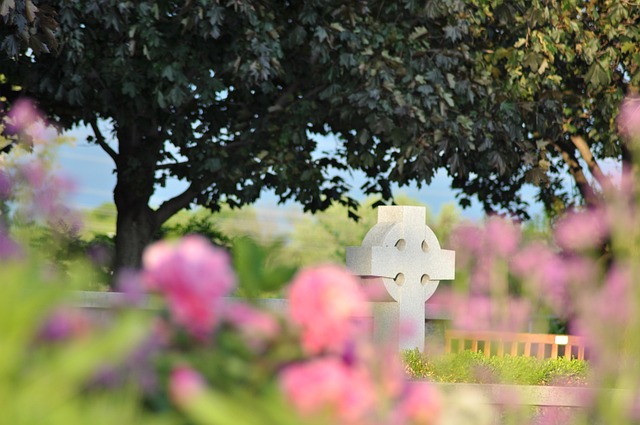 Free Faith Cross photo and picture
